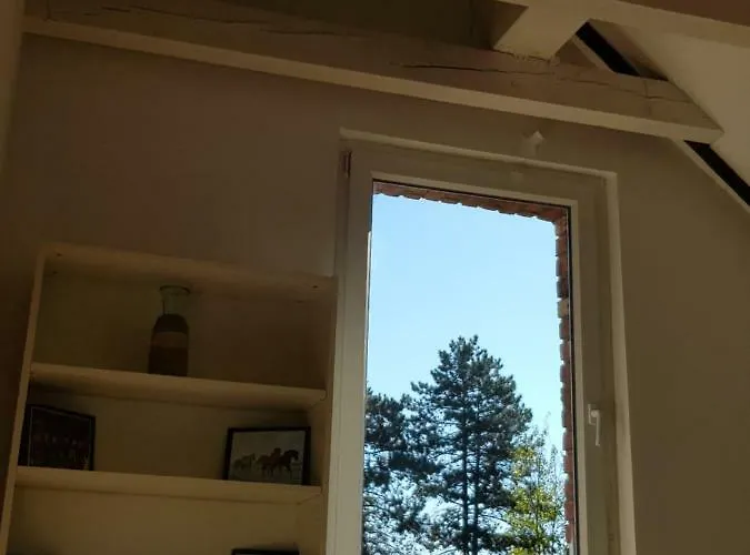 Willa High Ceiling 2 Bedrooms